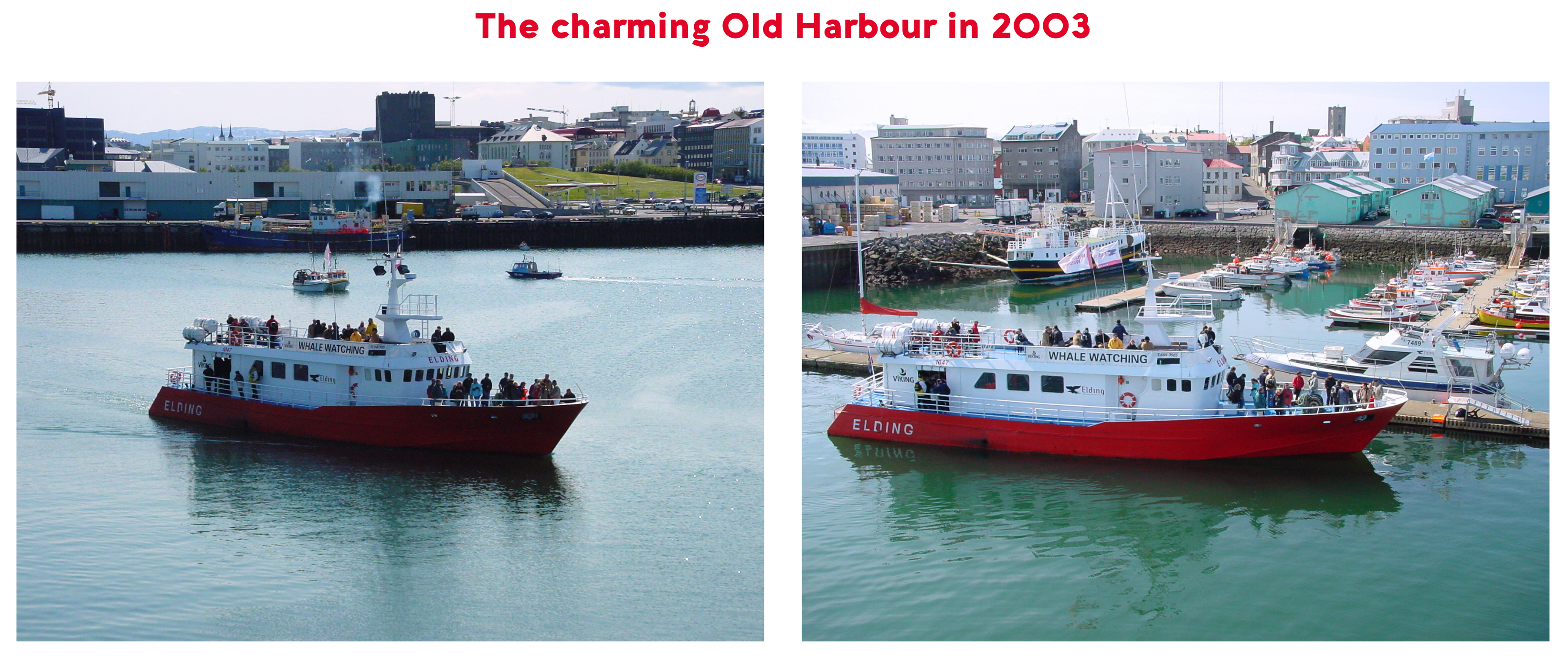 Elding at the Old Harbour