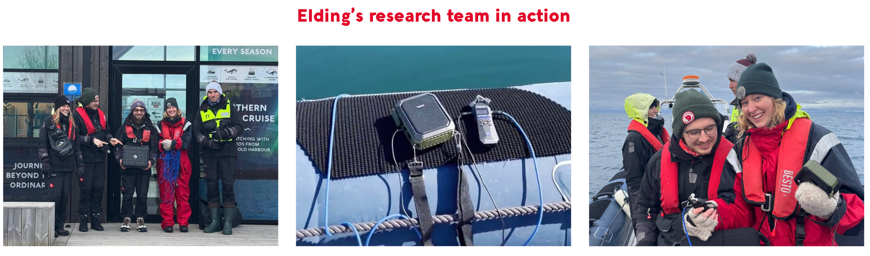 Elding research team w. hydrophone