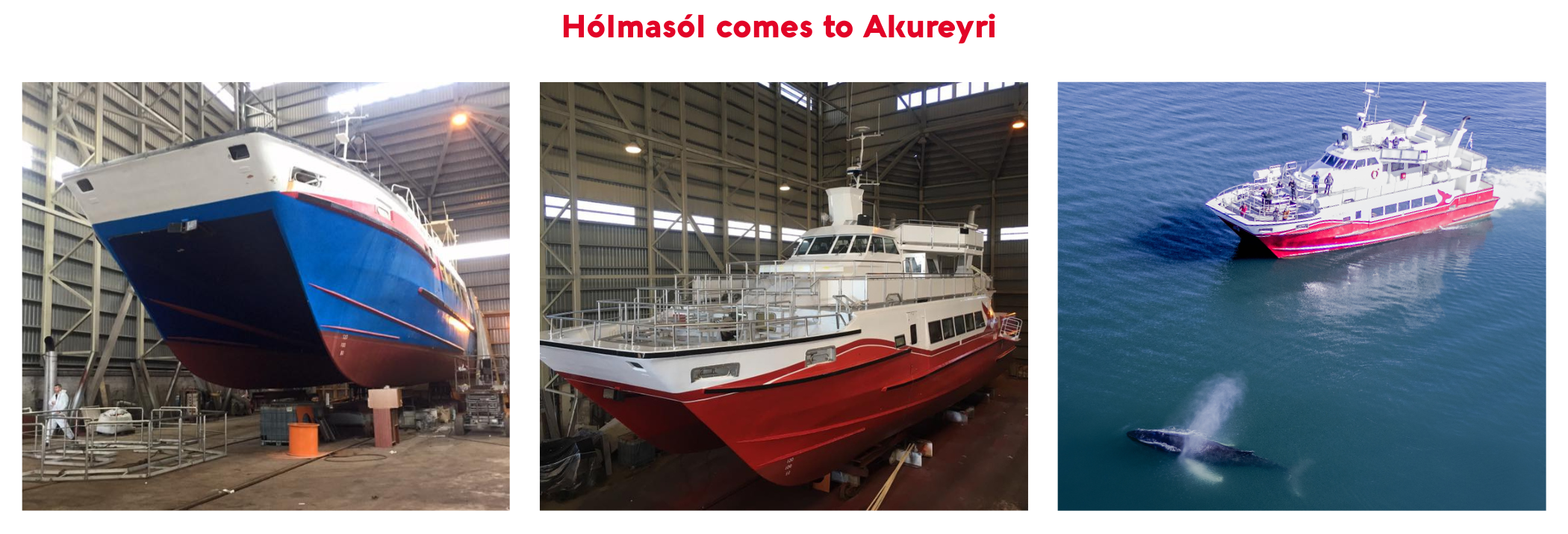 holmasol in akureyri