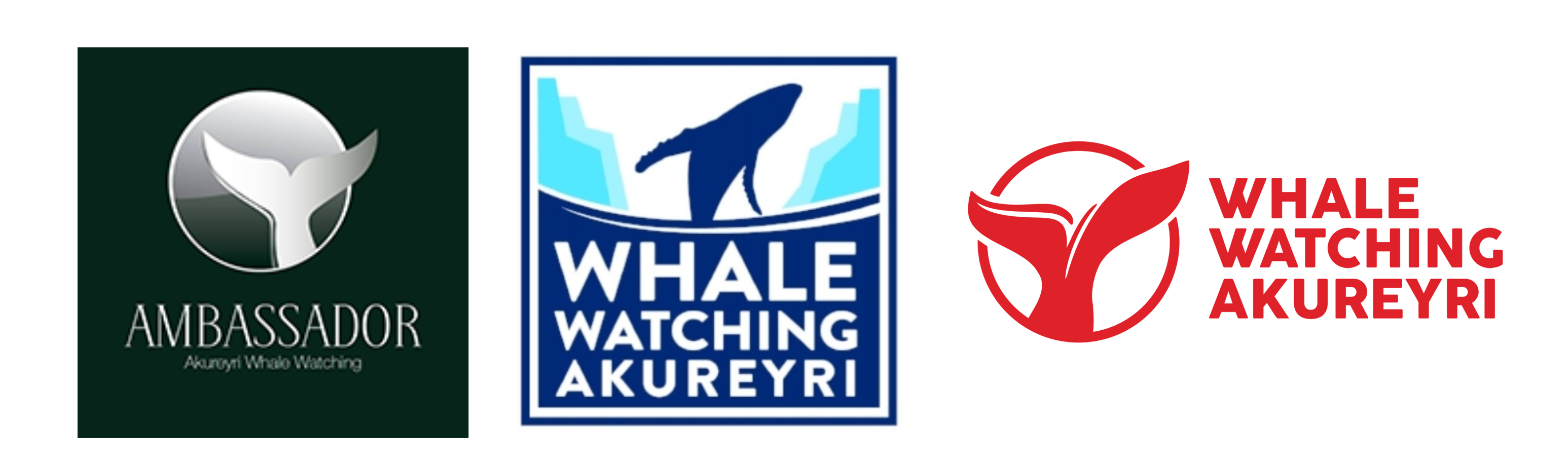 Elding, WWA, Ambassador logos