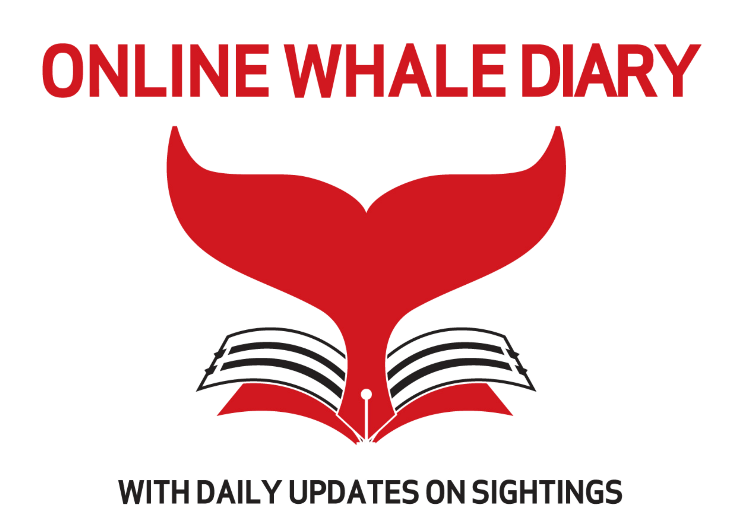 Elding whale diary
