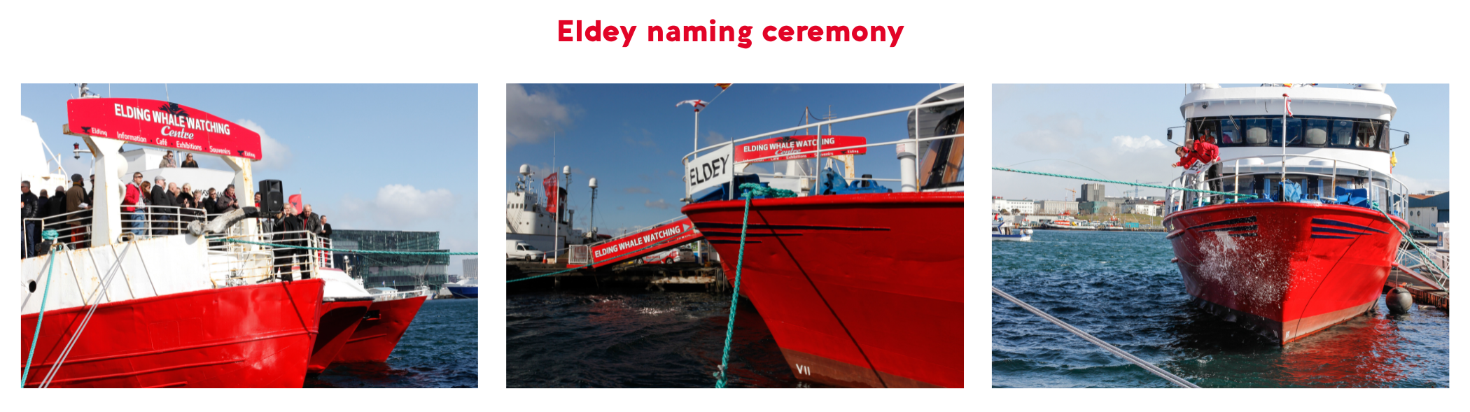 Eldey naming ceremony