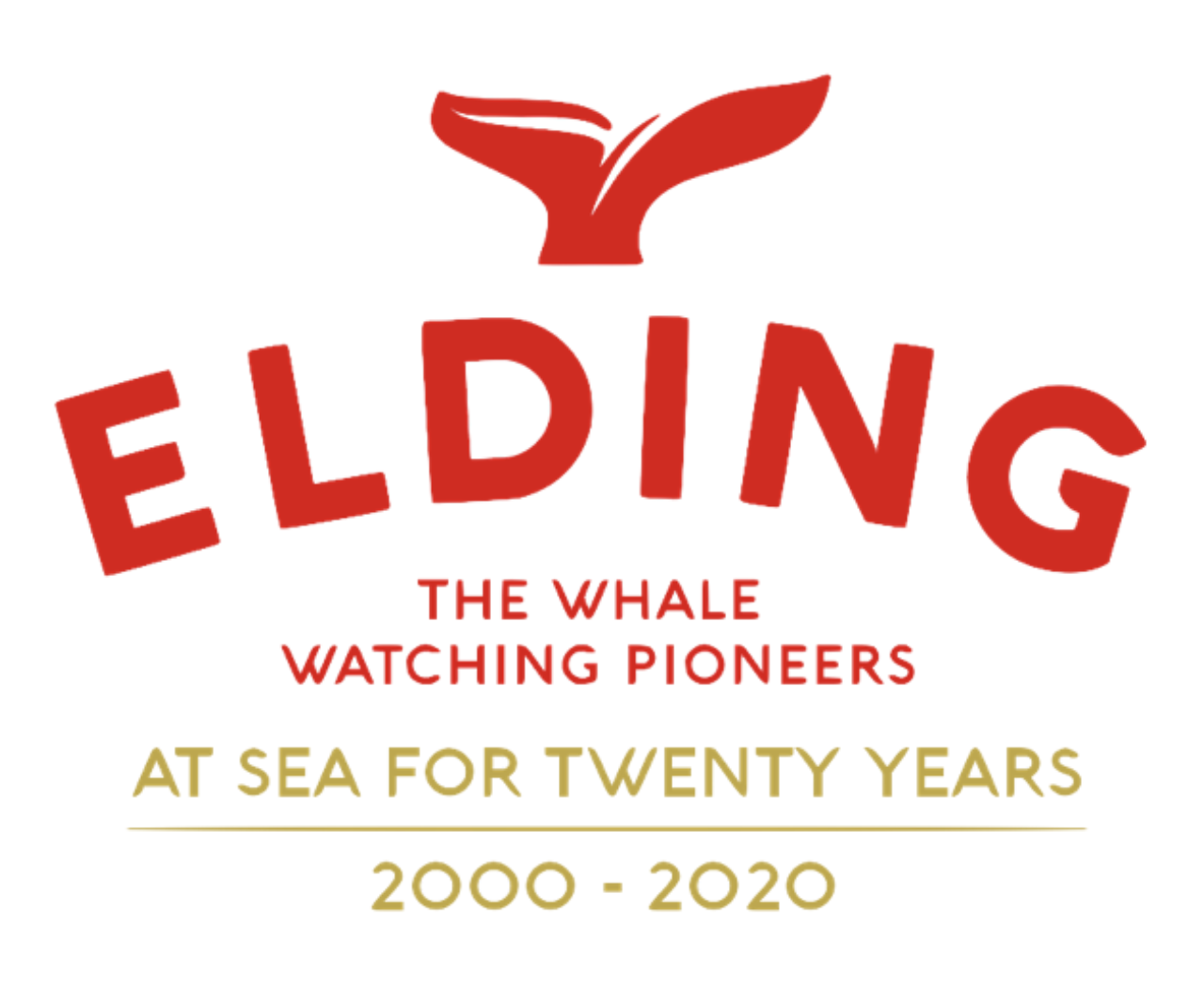 Elding 20 year logo