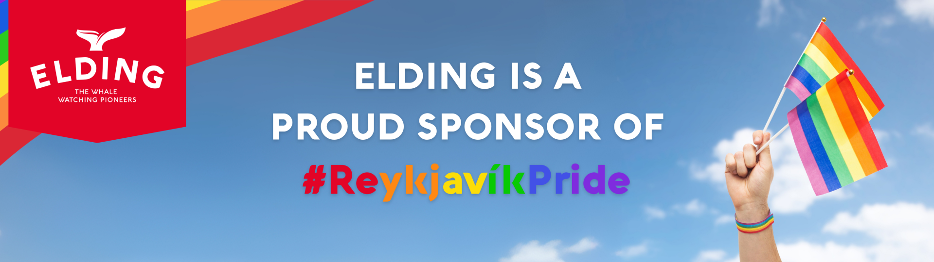 reykjavik pride x elding banner
