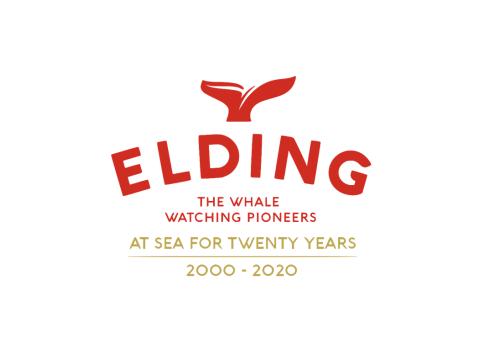 elding birthday logo 2020