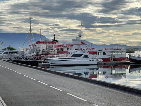 Harbour Wednesday 28 July