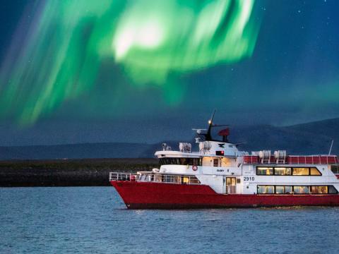 northern lights cruise