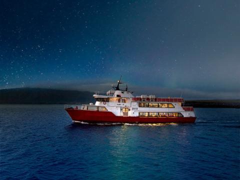 northern lights cruise with no sightings