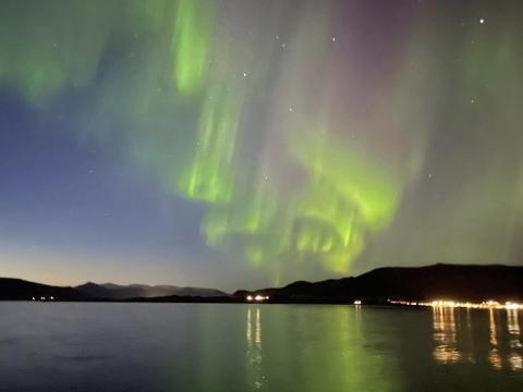 nlc by otto 14 april