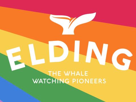elding pride logo
