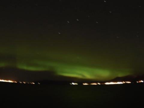 northern lights cruise