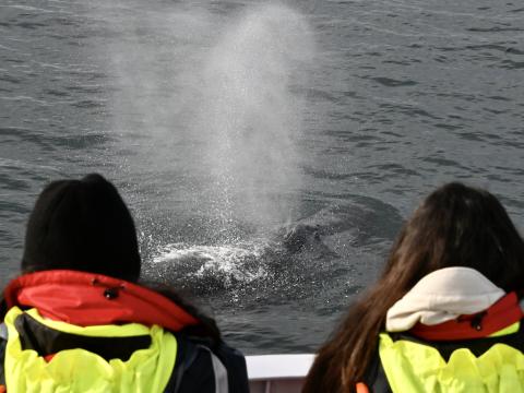 Two passengers look upon a humpback whale spouting between them. 