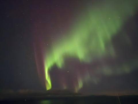 northern lights cruise from reykjavik