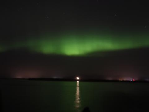 northern lights cruise