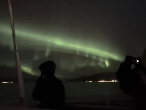 northern lights cruise
