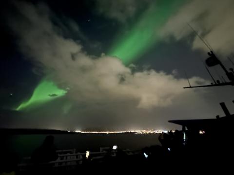 northern lights cruise