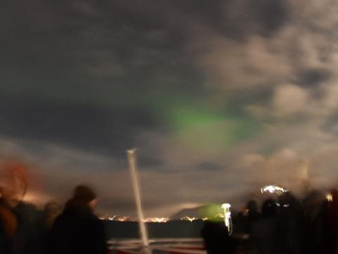 northern lights cruise