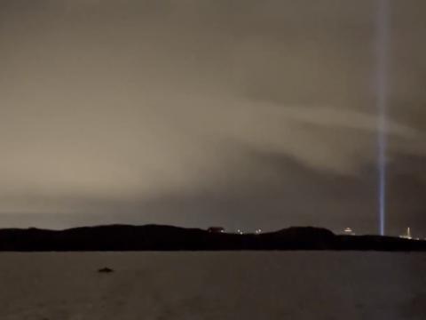 humpback whale and imagine peace tower on northern lights cruise