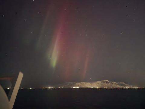 northern lights cruise from reykjavik