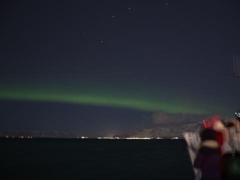 northern lights cruise