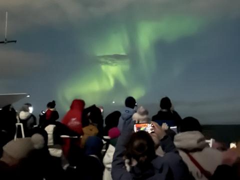 northern lights cruise