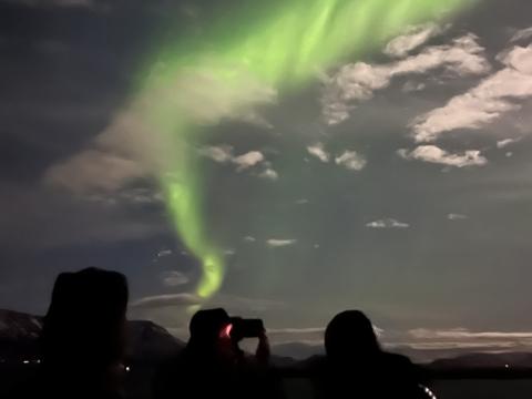 northern lights cruise, passengers look upon the auroras in the night sky