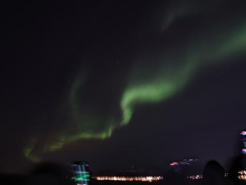 northern lights cruise