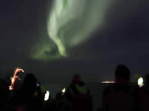 northern lights cruise, passengers look upon the auroras in the night sky