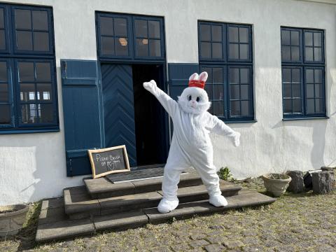 easter bunny on viðey island
