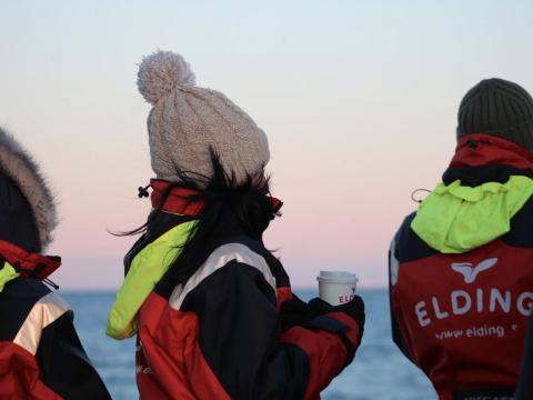 passengers on a whale watching cruise
