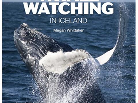 A book cover "The wonders of whale watching in Iceland, by Megan Whittaker"