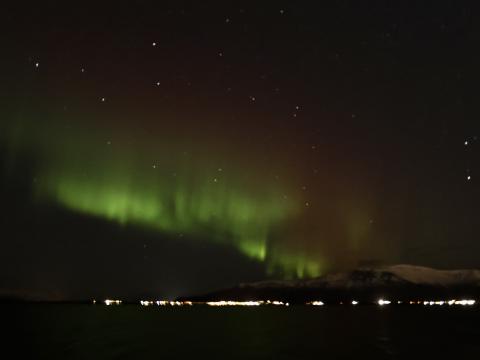 northern lights cruise