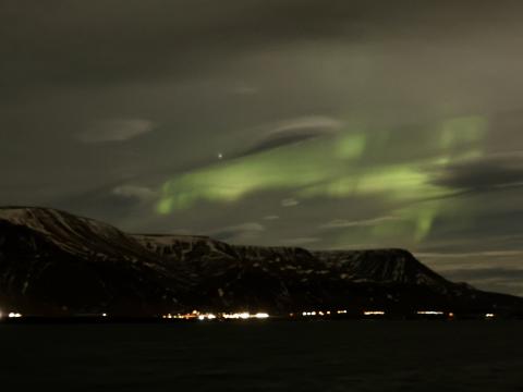 northern lights cruise
