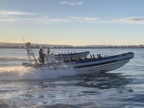 rib boats being sailed into storage