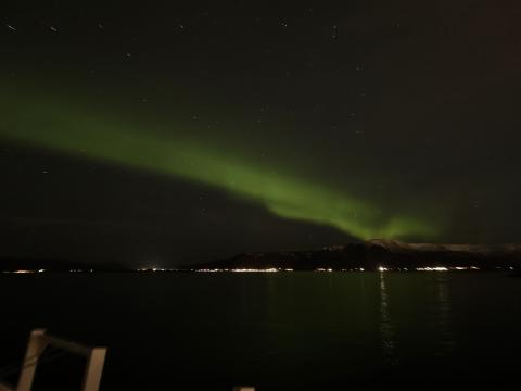 northern lights cruise