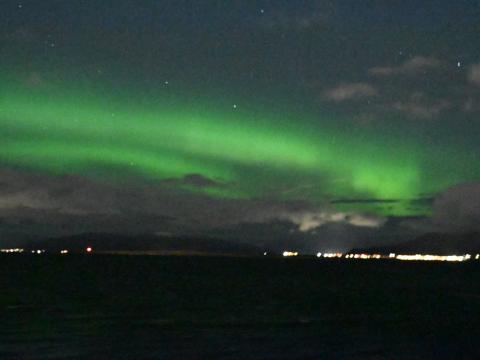 northern lights cruise