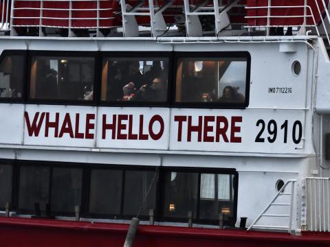 Eldey, whale hello there sign on boat - people sitting inside.