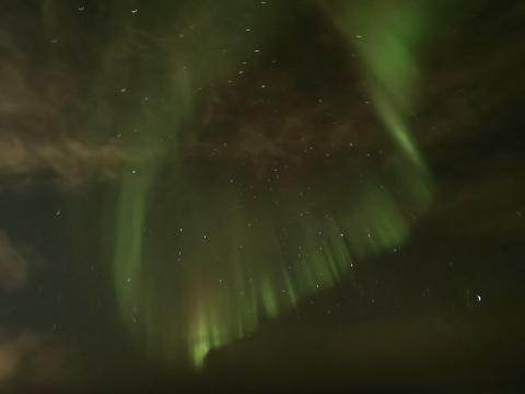 northern lights cruise