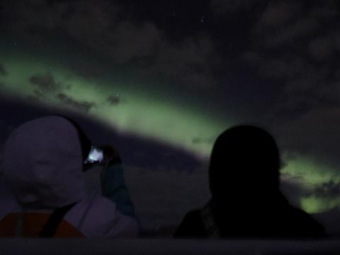 northern lights cruise