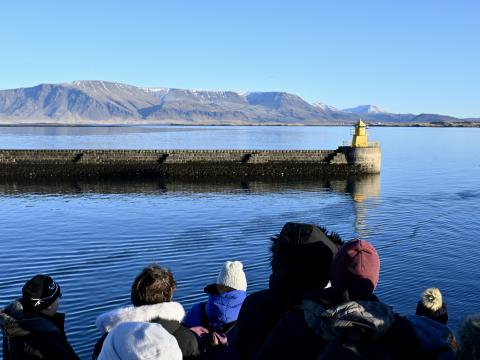 passengers on a whale watching cruise sail out of the harbour