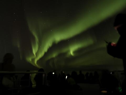 northern lights cruise