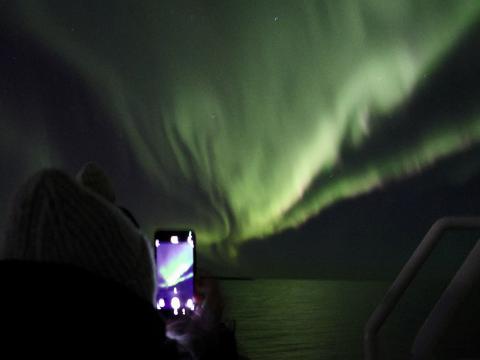 northern lights cruise