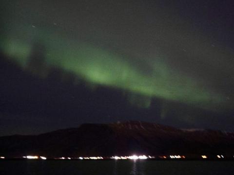 northern lights cruise