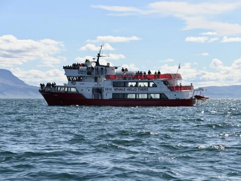eldey whale watching boat sails into open waters