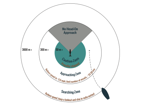 code of conduct - approaching whales