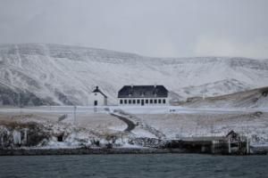 viðey island