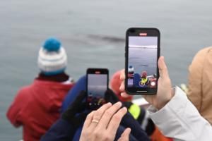 humpback whale and passengers