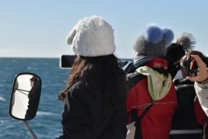 passengers on a whale watching cruise