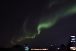 northern lights cruise