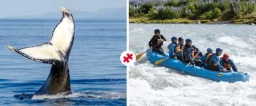 classic whale watching & river rafting combo